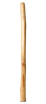 Medium Size Natural Finish Didgeridoo (TW1186)